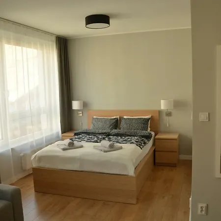 Premium Apartament Citycenter - Mtp/pkp + Parking Poznań